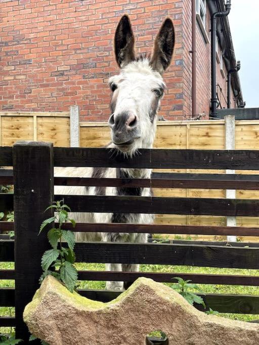 4 Bedroom - Sleep 9 Home In Cheadle Staffordshire - Alton Towers Polar Express Dimmingsdale Peak District Trentham Gardens Water World Luaran gambar